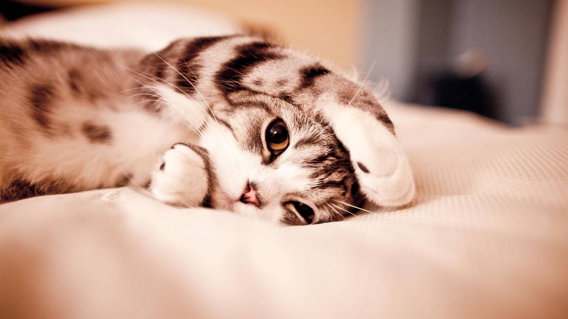 Wallpapers Cute on Twitter: Wallpapers Cute on Twitter: