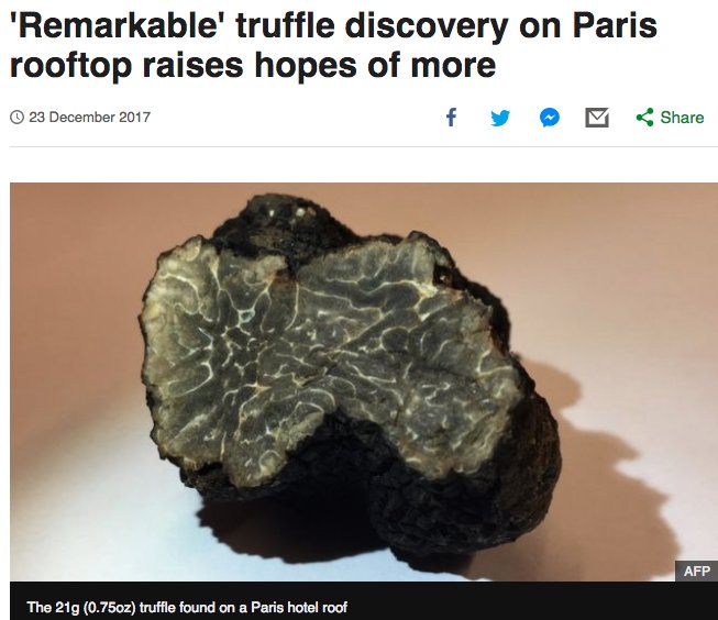 Merry Christmas all! Great news for the #urbanagriculture movement and truffle industry, a Périgord black truffle was found in a rooftop garden in Paris! Check the link for all the info: bbc.in/2kNGwjj