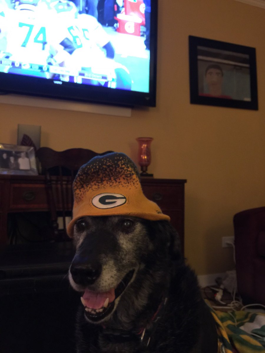 baseball_pearls's tweet photo. Bart Starr the Dog Celebrates his 15th birthday watching the @packers @NFL https://t.co/irA8GflgS8