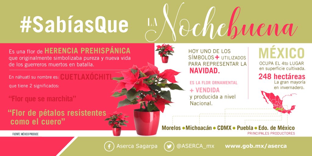 asercamx's tweet photo. La #Nochebuena es uno de los símbolos para representar la #Navidad en #México.

¡Felicidades! #FelizNavidad https://t.co/OrolyfZcOG