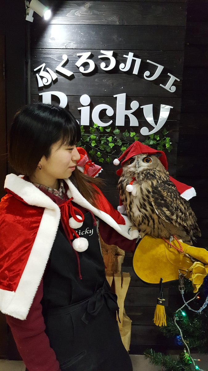 ふくろうカフェricky盛岡店スタッフ A Twitter 盛岡店で 聖なる朝の奇跡 が起こりました みわさん仲良しチャレンジ でお馴染み みんな大好きかしわだ みわさんコンビが 同じ画面で こんなにも仲睦まじく W ﾌﾞﾜｯ クリスマスバンザーイ W