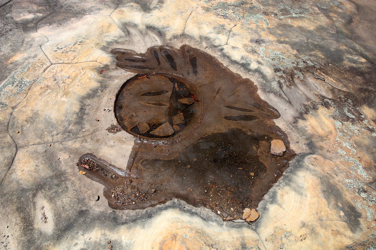 PerditaPhillips's tweet photo. #Nyangamountain #grindinggrooves #Dharug #Gundungurra #ironwells #sandstone #BlueMountains National Park #both_and @ArtsourceWA Global Cities Residency #perthartist #australianartist #ecoart #environmentalart #contemporaryart https://t.co/FRy8WJWbrF
