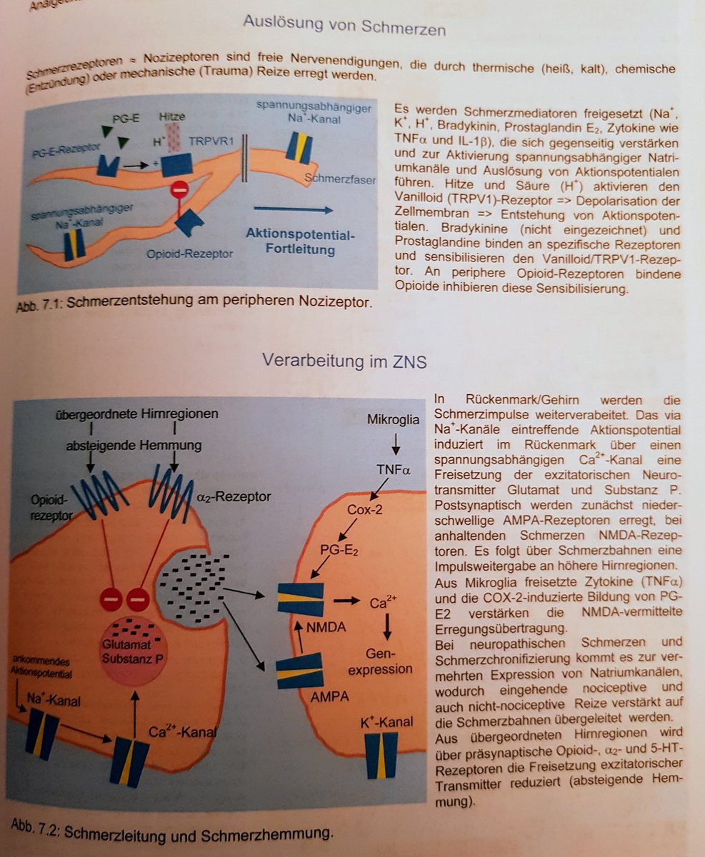 view fentanyl