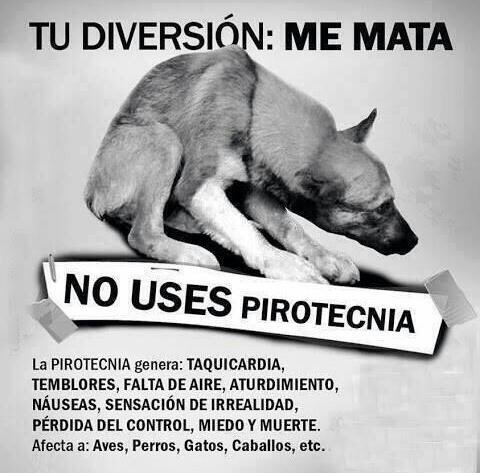 manupalok's tweet photo. Por favorrrr!!!!! https://t.co/bzMWO9rer0