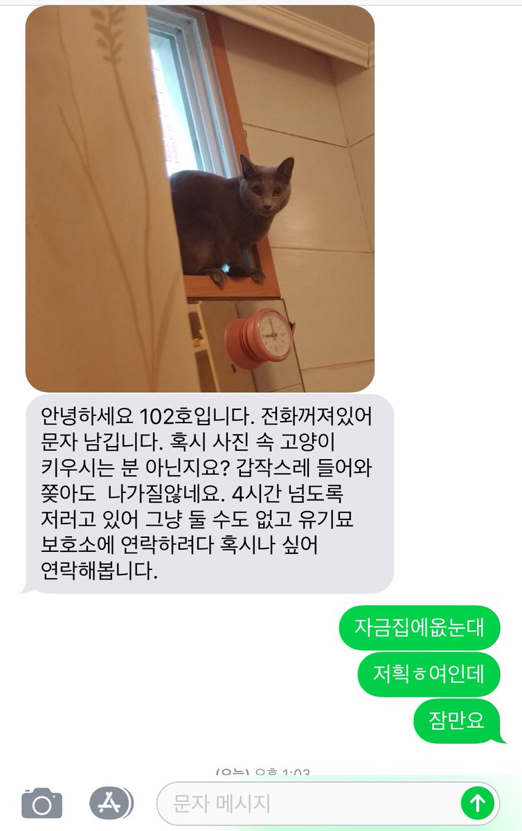 wizardrogue's tweet photo. 못맏겠지만 이 고양이는 문을열고 창문을열고 옆집 창문으로 무단침입해서 4시간동안 주인과 운싸움을 했다... https://t.co/4ZBKXBsSme