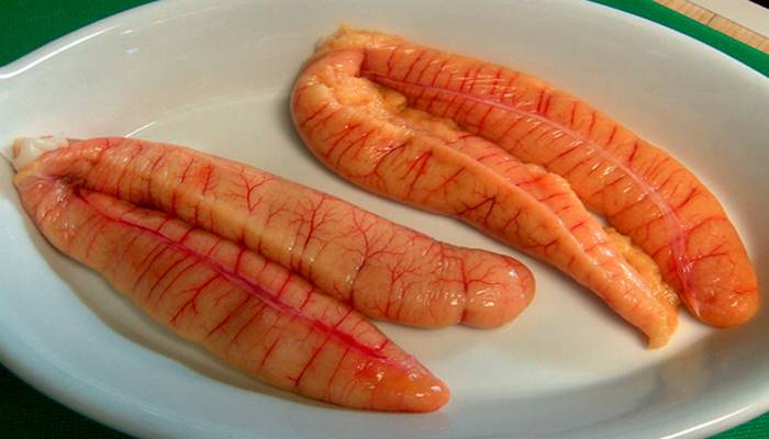 b_bubly's tweet image. banglachanneltv.blogspot.com/2017/12/fish-e…