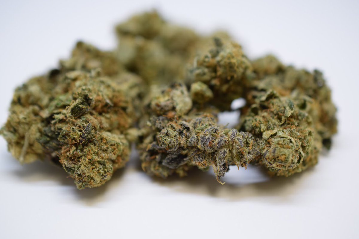 ❤️ Double tap if you’re in the mood for some #PlatinumGirlScoutCoookies #GSC 
...
#cannabis #bayareaweed #marijuana #420 #smokeweed #pot #weed #420life #oakland #sf #bayarea
...
Trestl.com