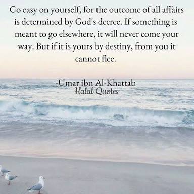 muslimahatpeace's tweet photo. 🌷Inspiration overdose...
One of my fave #SahabahPersonalities #HeroesOfIslam #UmarAlKhattab
🌷May ALLAH be pleased with him, with all Sahabah RA💖 https://t.co/5TSL7zYkUA