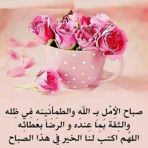 أبو عباس السوداني (@imevsvrehyyfvlb) on Twitter photo 