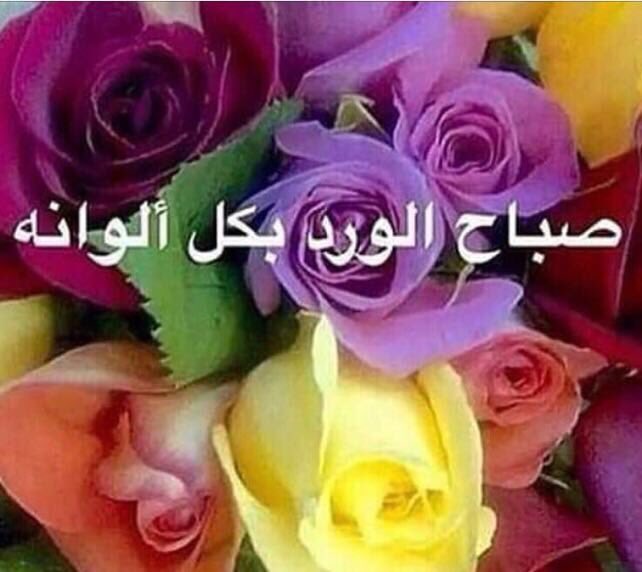 Abdullah Alhumaidi (@abdullahalialho) on Twitter photo 