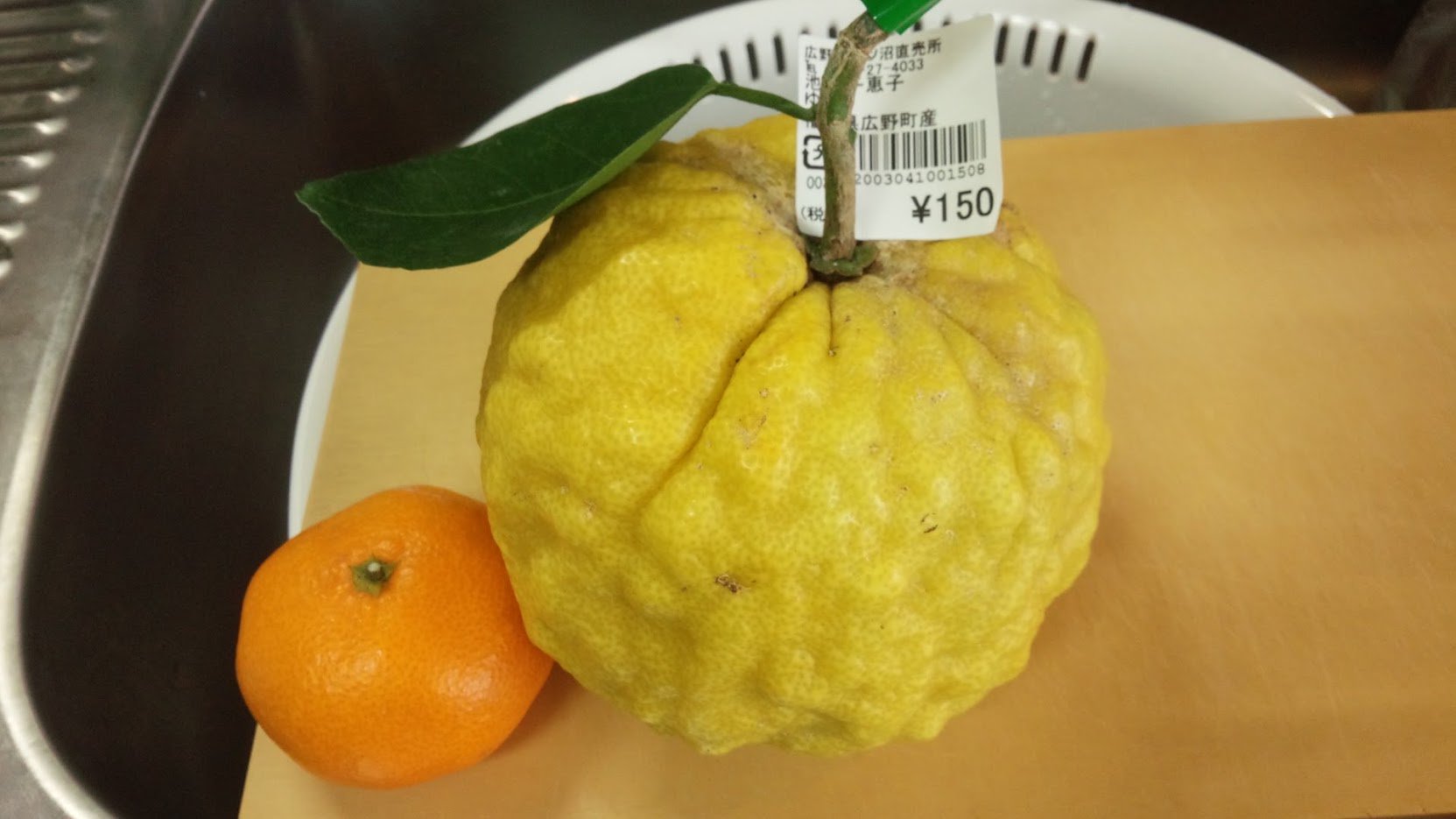 Yajifun 二ツ沼直売所でミカンのついでに買ってきました 獅子柚子 シシユズ または鬼柚子 オニユズ T Co 5je0jgcwpq お店の方は飾り物で食用ではないと仰ってましたが 獅子柚子 鬼柚子 の保存方法や食べ方と栄養価 T Co