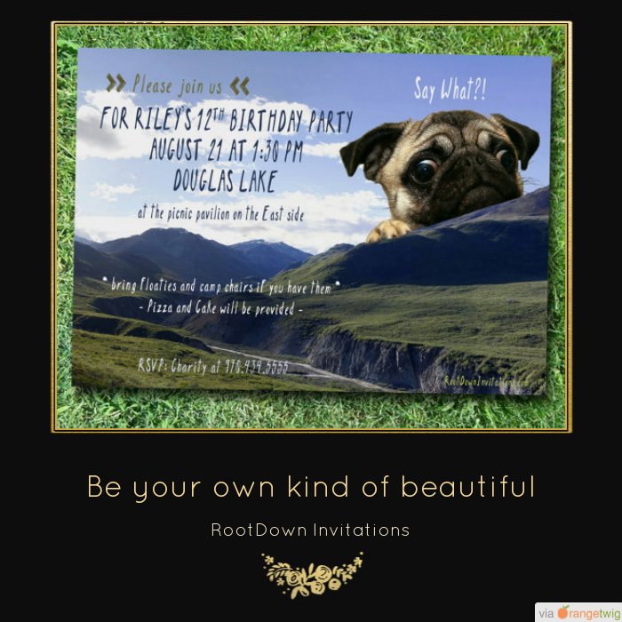 Follow us on Twitter to see new products &amp; sales. Check out our products: small.bz/AArEd6e