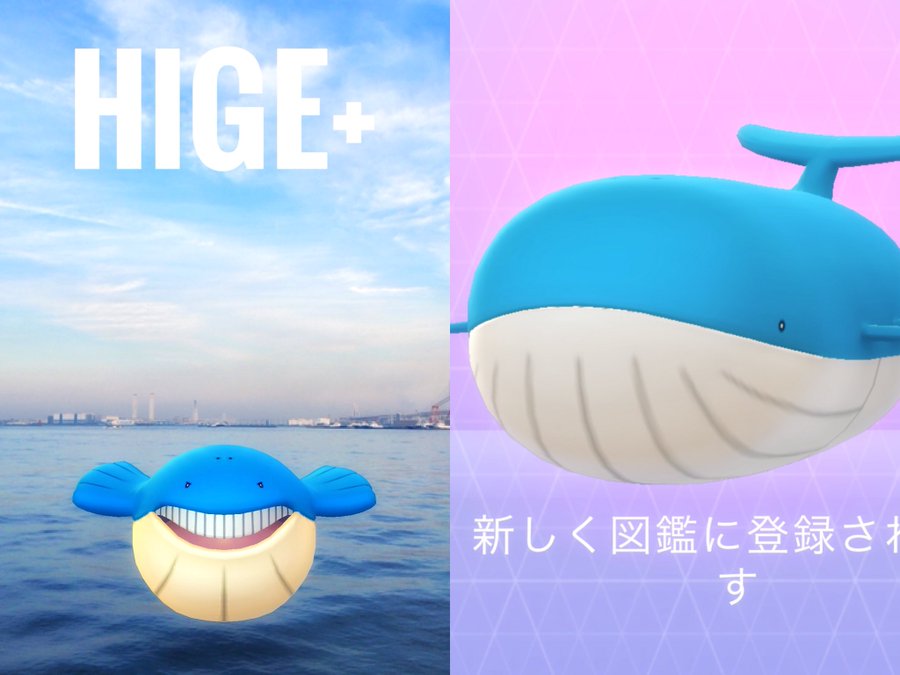 ポケモンgo ホエルオーがとにかくでかい ジム戦では画面がみづらく回避しづらいという弱点も