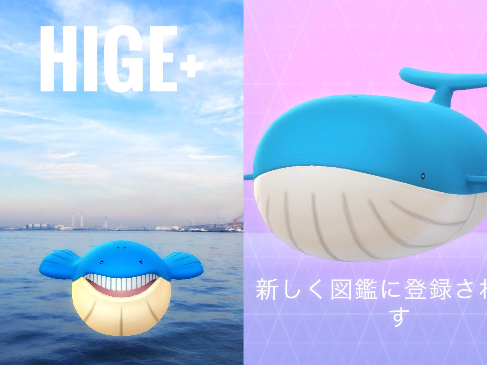 ポケモンgo ホエルオーがとにかくでかい Twitter