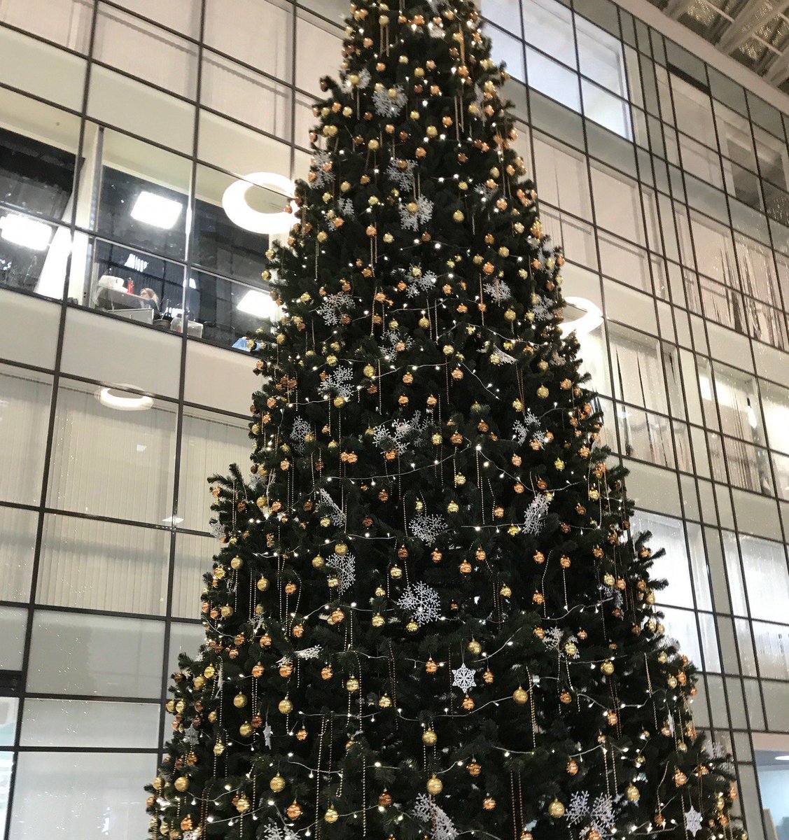 BitSyncio's tweet image. Merry Christmas and Happy New Year from Bitsync
As December comes to a close, We find ourself reflecting on the year that was. 2017 will be marked in the history of Bitsync as the year of accomplishment, consolidation and release.