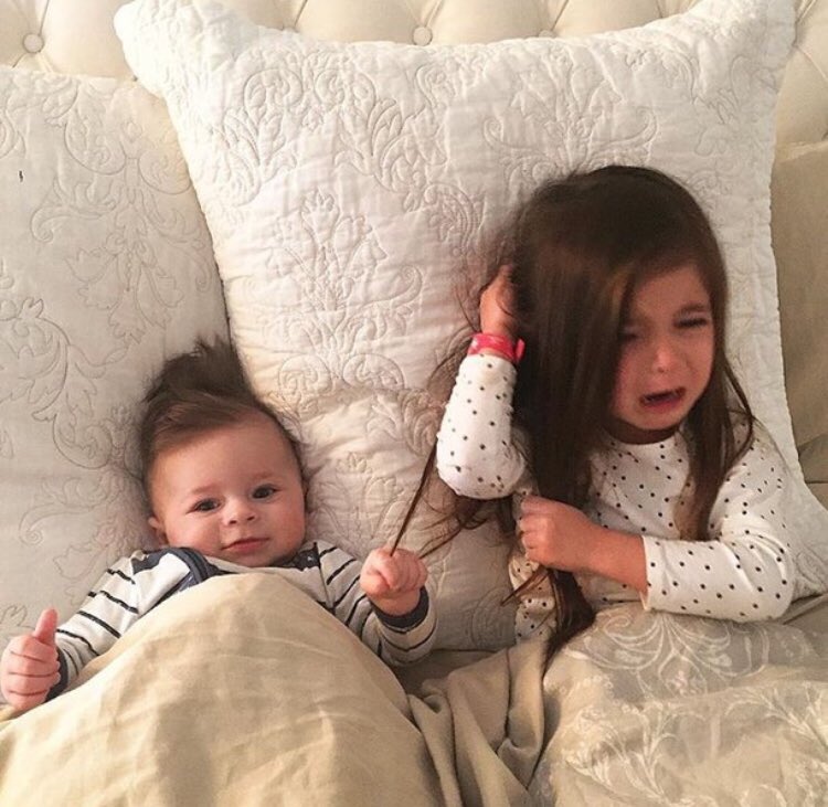 iamRam2333's tweet photo. If you’re wondering how our little princess is spending her Christmas... 😂😂😂 https://t.co/1emvhECABG