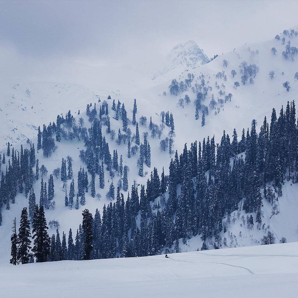 captivatingkmr's tweet photo. Winter scene from Gulmarg ---------------
The Kashmir Experience.
Photo and text by @rohanbh1990
#kashmir #gulmarg #canonindia #incredibleindia #indiaphotos #india_gram #indiabestpic #indianphotography #oph #winter #storiesofindia #himalayas #igersind… https://t.co/hSQlxDaUSs https://t.co/vaGxGZ9AB0