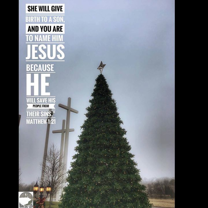 HawksbillCrag's tweet photo. Merry Christmas 🎄 everyone. #adventureisoutthere #americathebeautiful #arkansaslife #arkansasoutdoors #arkansas_traveler #explorearkansas #findyournowhere #getoutside #hiking #hikingadventures #hikehawksbillcrag #igarkansas #landofopportunity #merryc… https://t.co/b1rSRZxBJ9 https://t.co/91XuDSoCAf