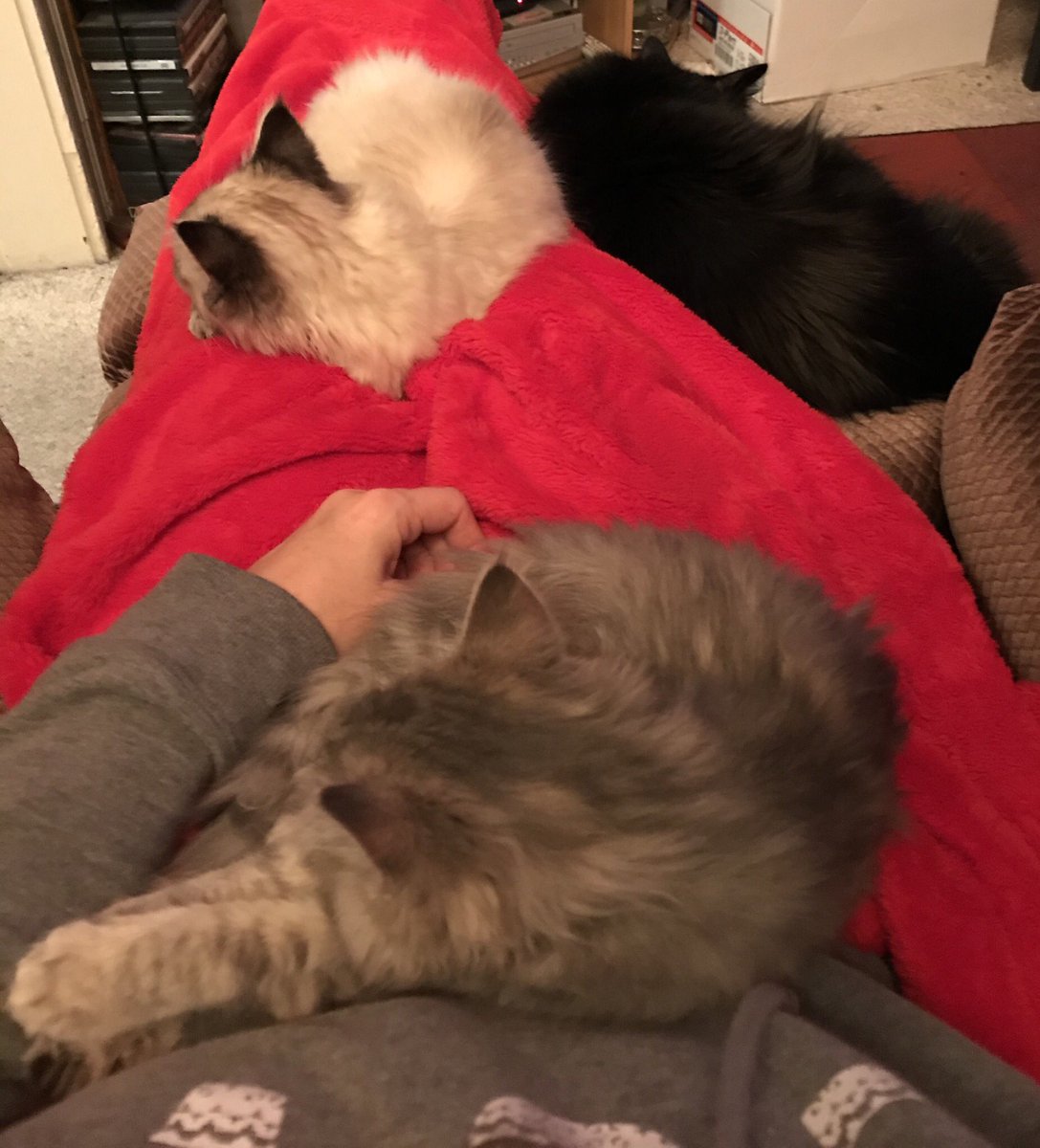 hotdme's tweet photo. I guess I won’t be getting up any time soon. https://t.co/6z0irMlfiW