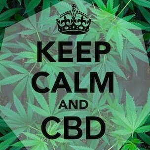 GhostmanRex's tweet image. #NewProfilePic