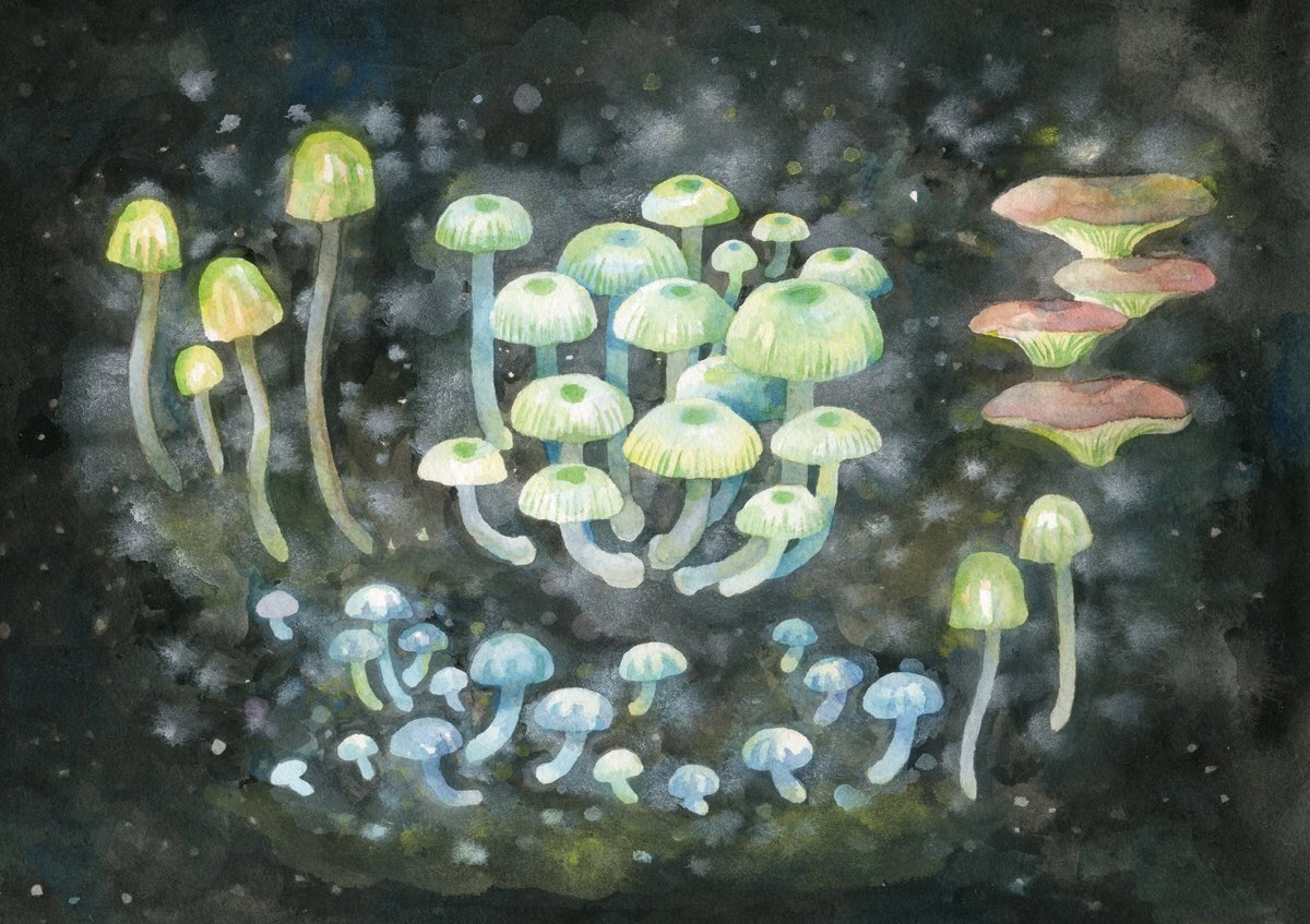 透明水彩絵の具で描いたきのこたちです🍄 #あなたのきのこ見せてください