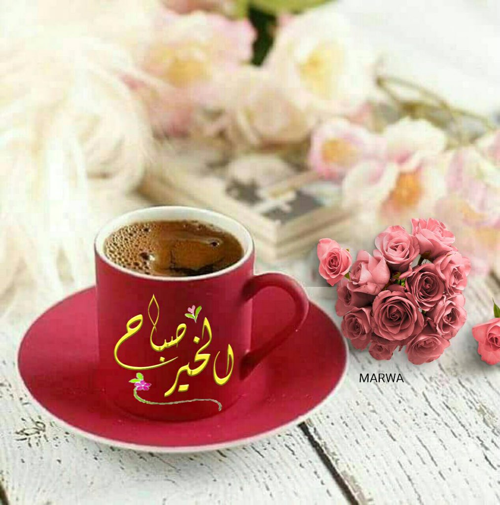 البعـض يطـيبُ لـهمُ #الصباح
والبـعضُ يطيـبُ بهـم الصباح
ومـا اجمَـل الصباح
بـِـأرواح وقـُـلوبٍ مثلـكم
طـآبَ صباحكم برفقة مَـن تحـبونّ
.
صباح الخير 🌹                                              #الاحد