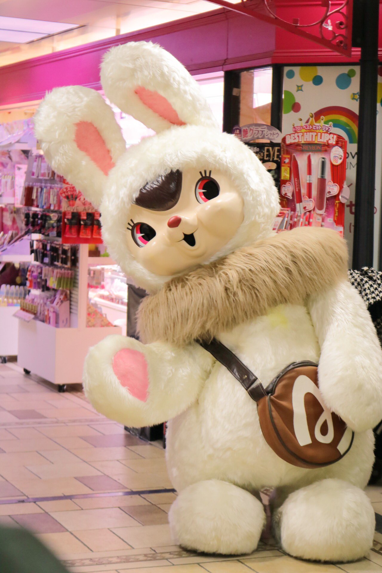 ChikaEchika @ぬい撮り on X: 