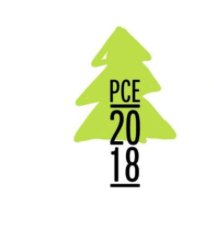 PCE2018_Vienna's tweet image. Merry Christmas to you all! &amp;lt;3