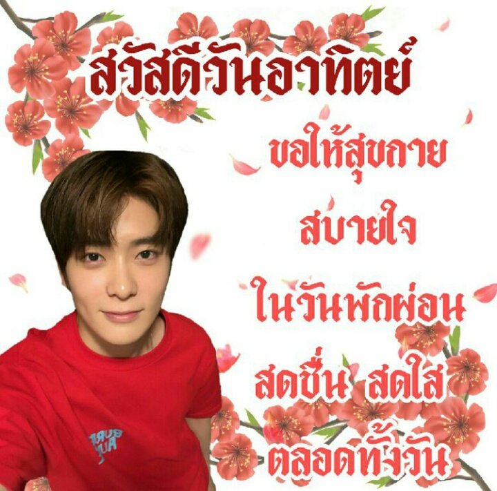พลัส tweet media