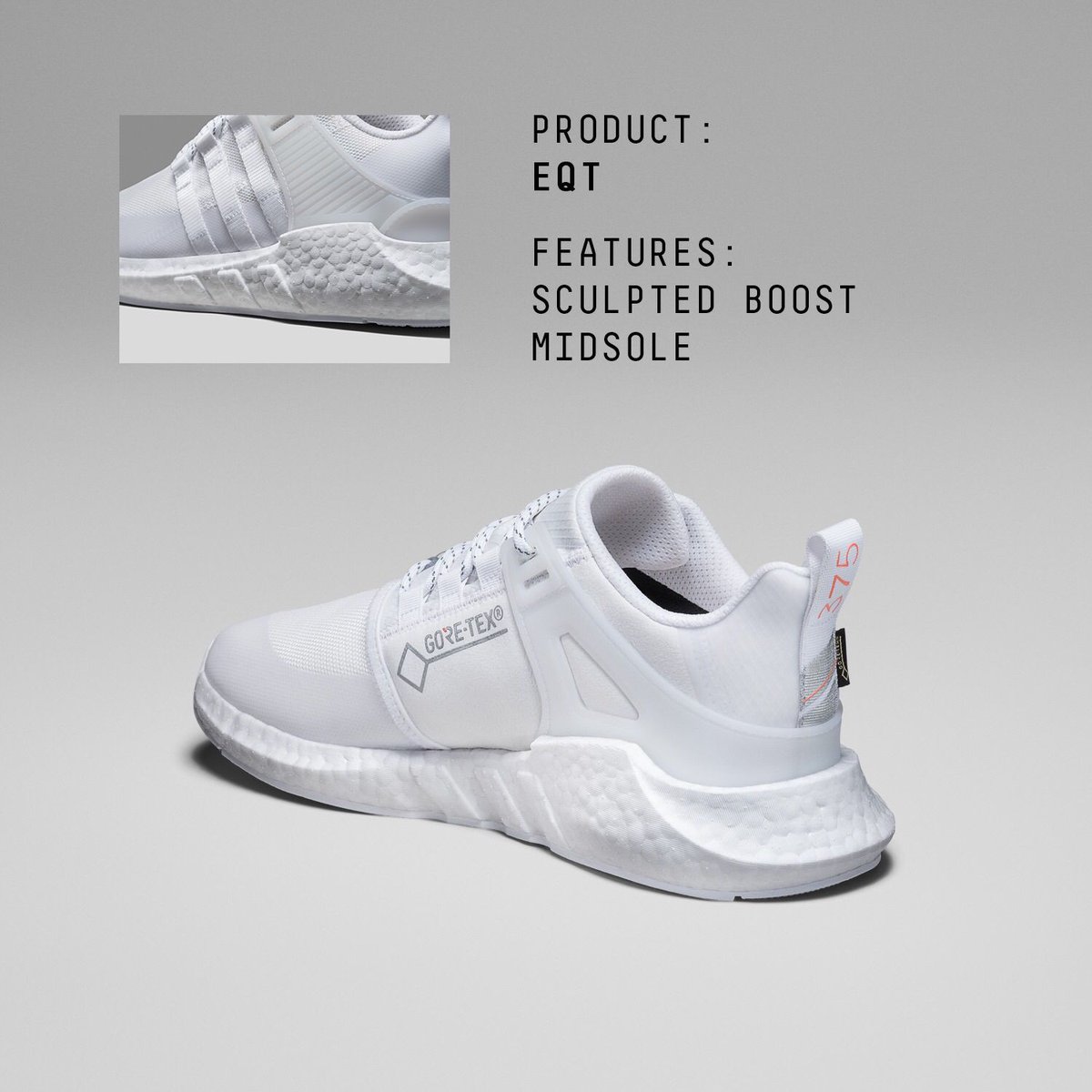 eqt terrex gore-tex boosts