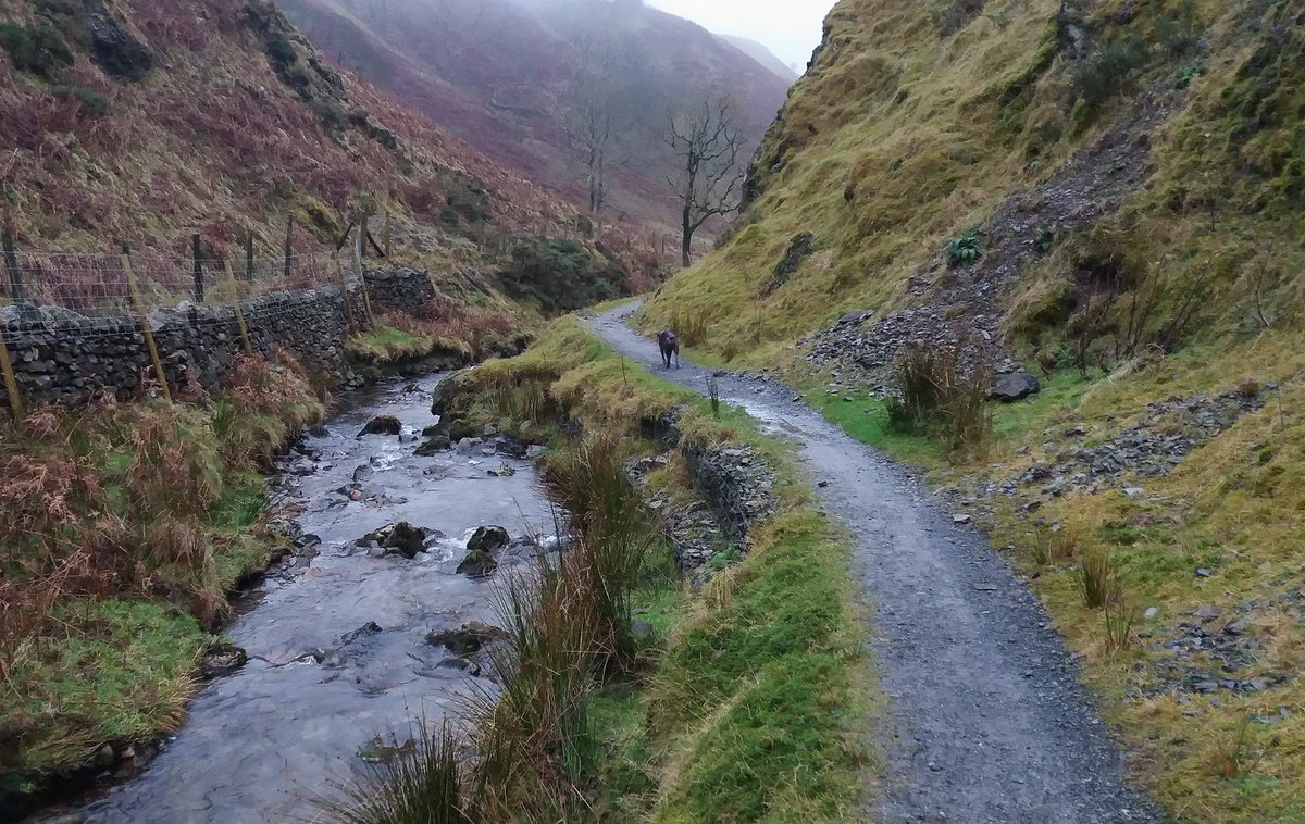 mikemckenzieis's tweet photo. As Dent was crowded with families on festive walks, did a nice route up and around Flat Fell, end to end and round again b4 dropping down to Cold Fell and back along the valley path. Blissful solitude for day 24 #cnrun #festivestreak https://t.co/zC3EfU8KjB