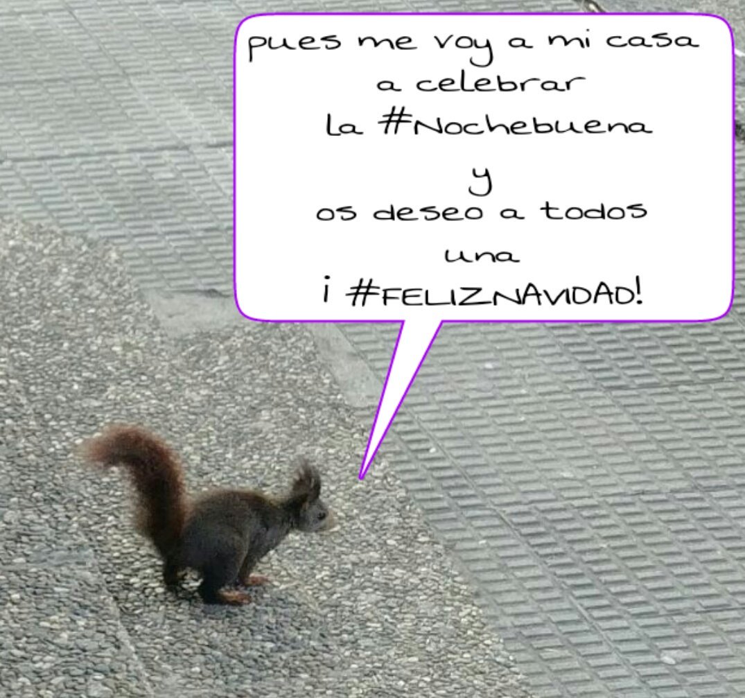 #FelizNochebuena a tod@s