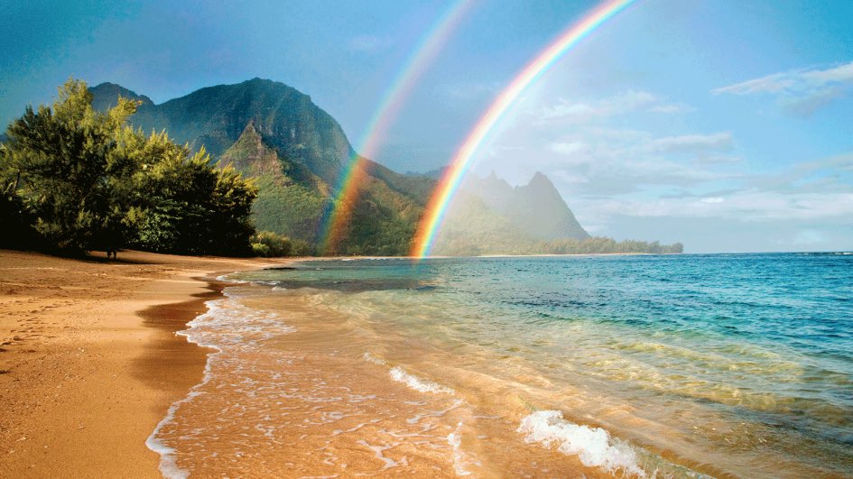 ChicEchoAi's tweet photo. Via @hawaiitweets https://t.co/0gZAZdV9pd