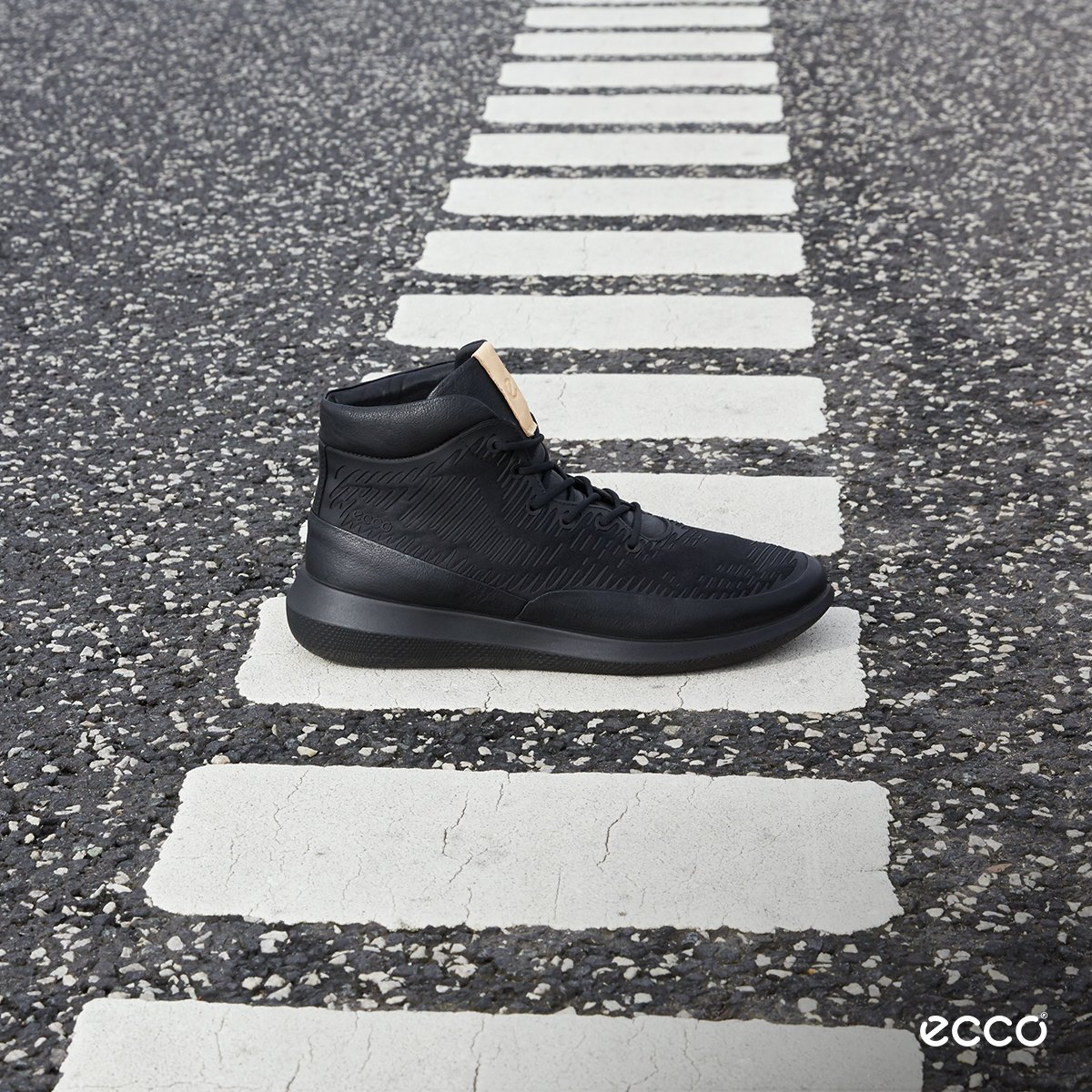 ecco scinapse premium high