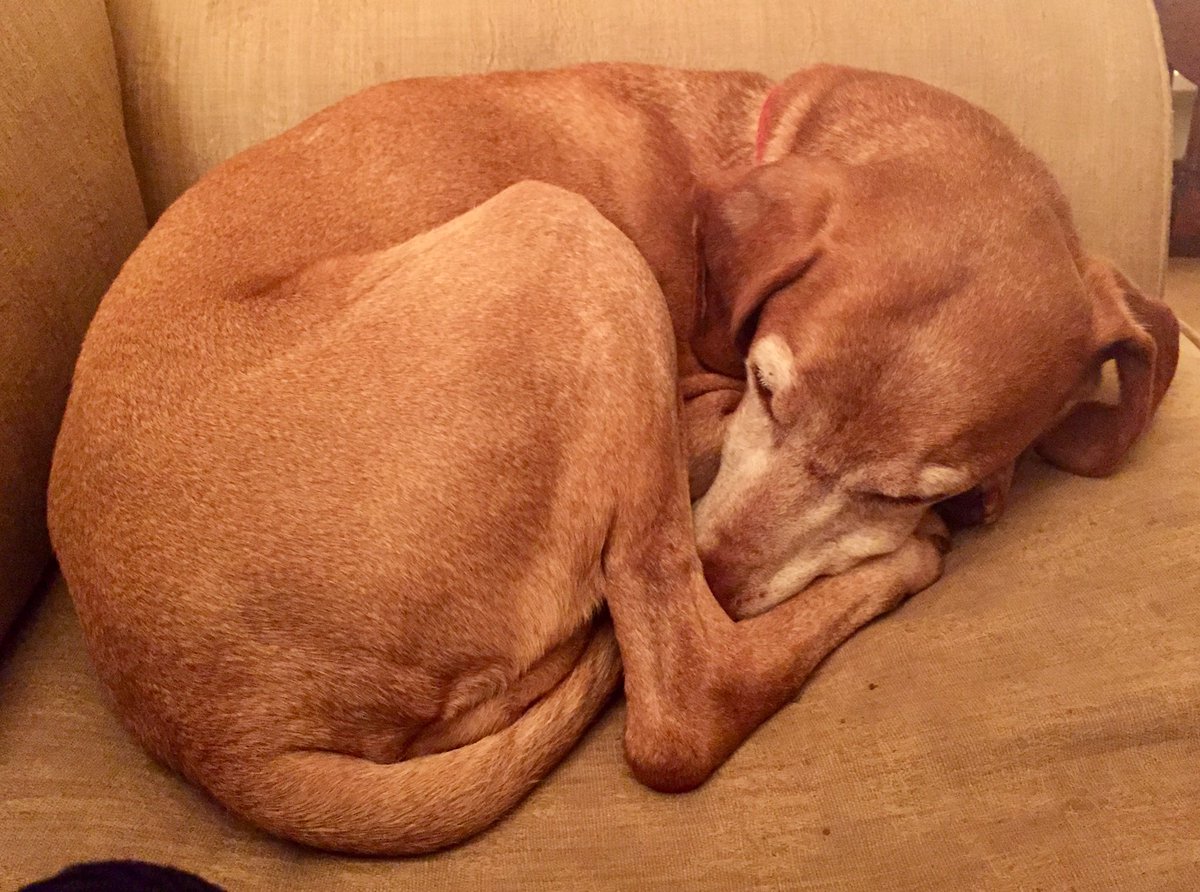 Clare Plascow tweet media