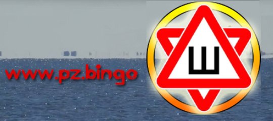 PZ.BINGO #выборы2018