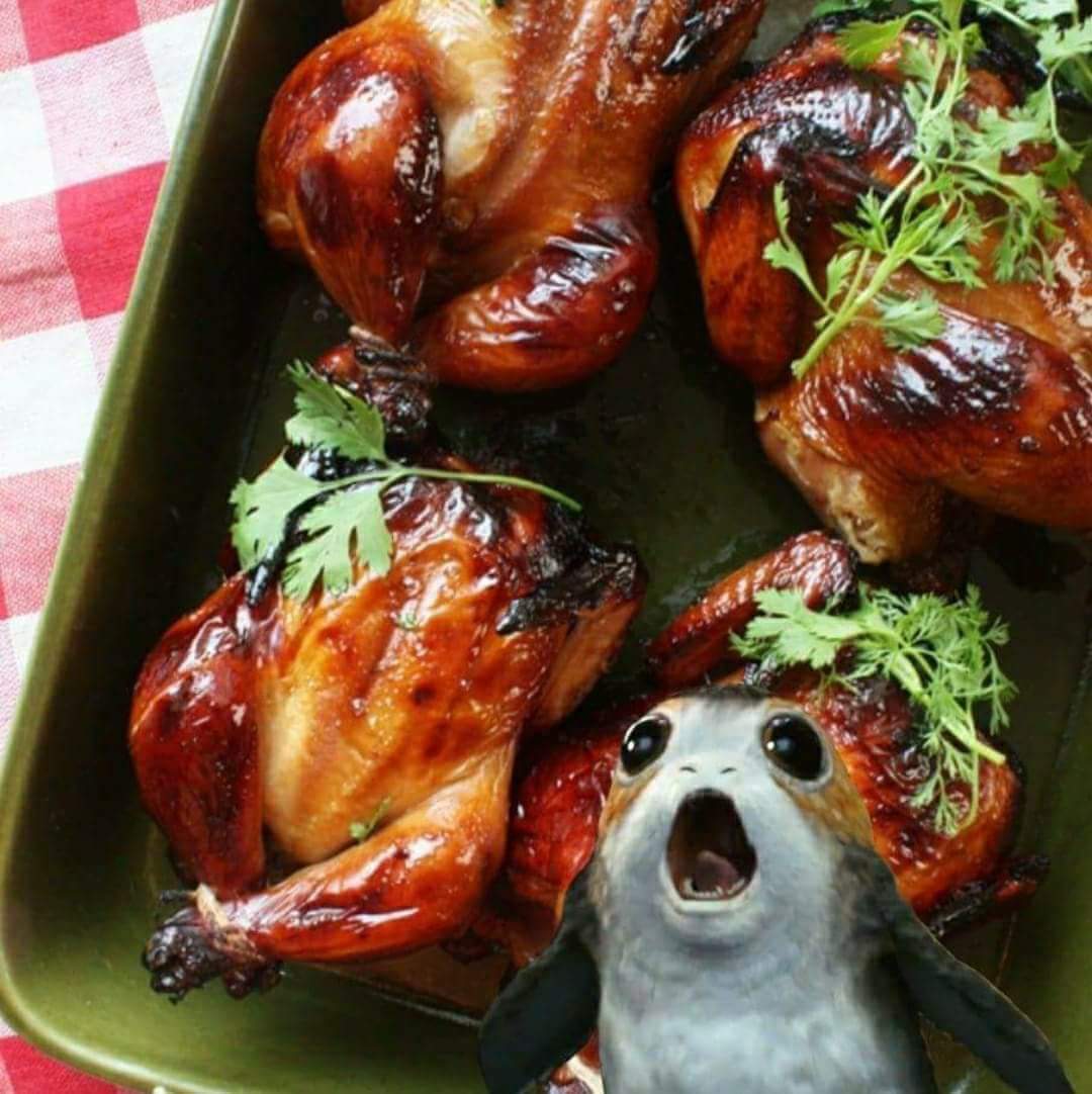 SoldatRebelleFR's tweet photo. Et voilà, un bon rôti de Porg pour #Noel 
Miam.
#TheLastJedi https://t.co/SmkS7DGc0q