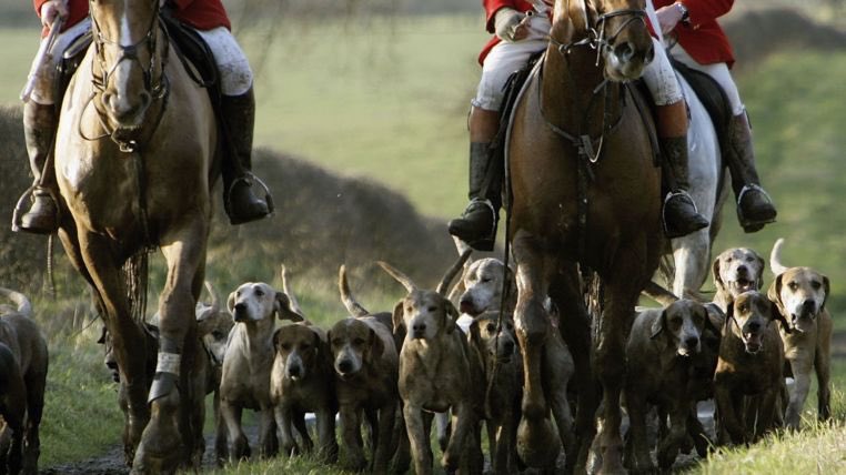 CBTHunting's tweet photo. A Happy New Year for persecuted animals in 2018? High time this preposterous obsession was dropped &amp; the law enforced properly. RT if you agree #keeptheban @LeagueACS  https://t.co/6DQqCz5T54 https://t.co/YoM87gVEYC