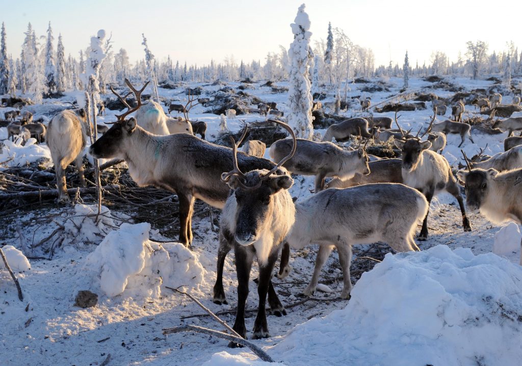 Ute Wolf tweet media