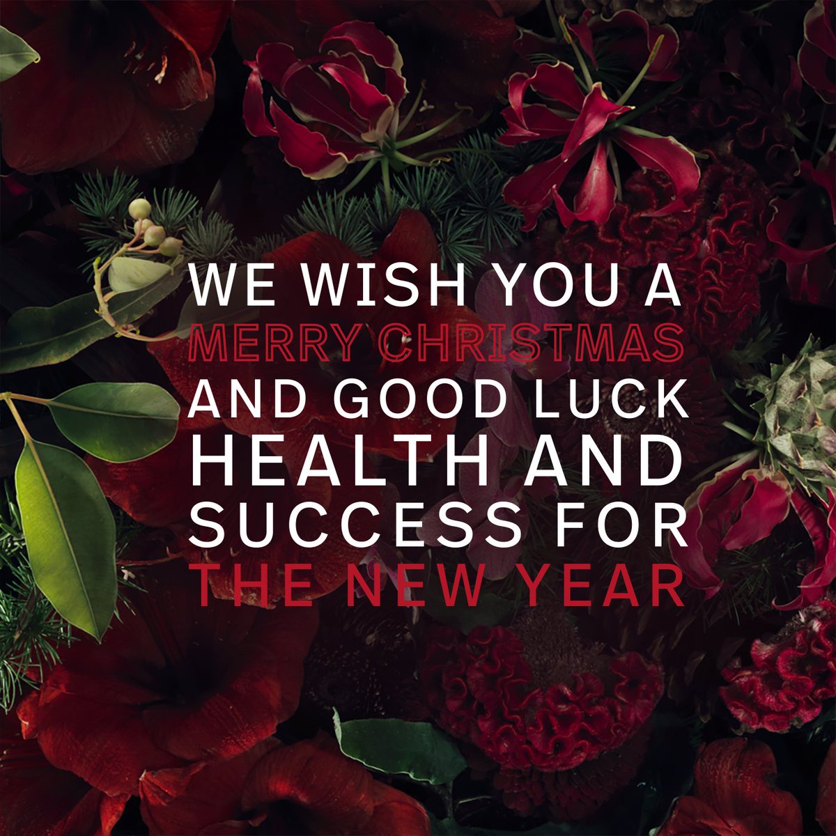 We wish you and your beloved ones a merry Christmas! 
#rosenthal #Weihnachten #Christmas