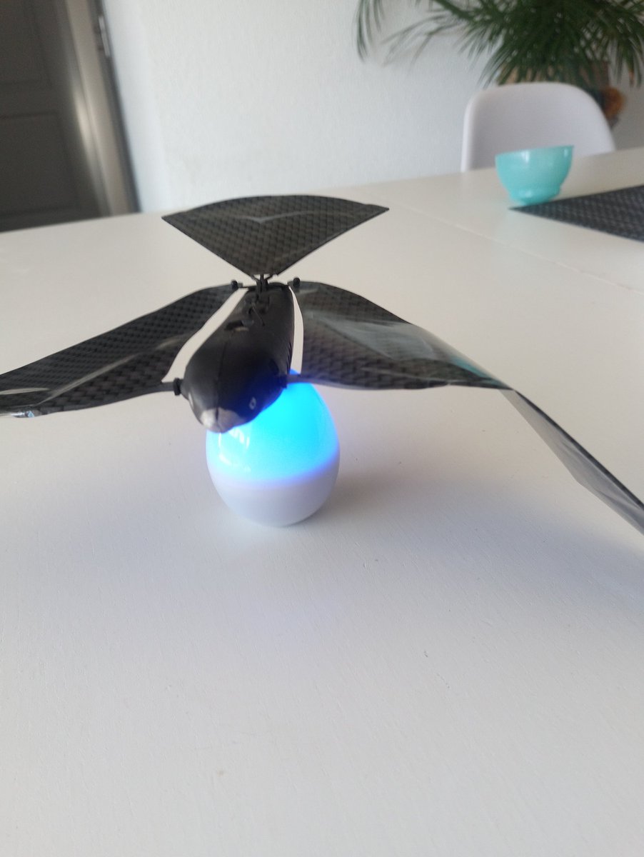 braindegeek's tweet image. Bon l&apos;expérience #BionicBird n&apos;a pas été bonne pour moi. Impossible de tourner une vidéo sur cet objet. Publication d&apos;un article dans la semaine.
