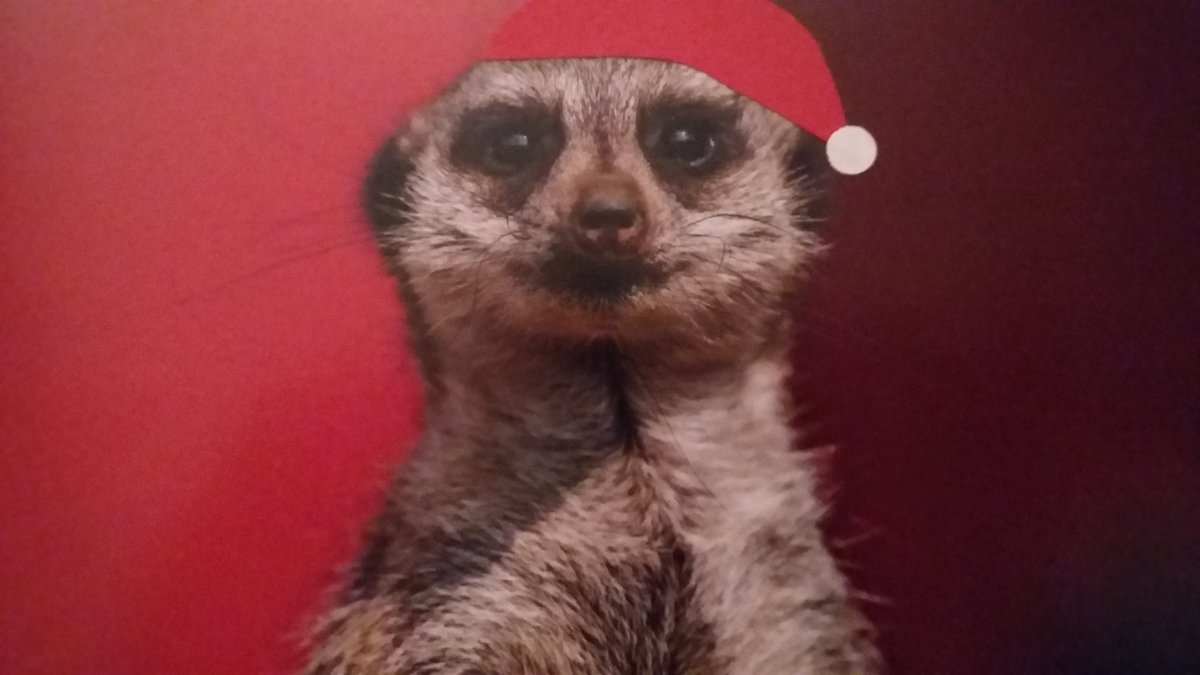 I wish you a happy and peaceful Christmas. Think of the poor people at this time. #startup #Employment #streetwear #Je_Bud #Entrepreneur #Christmas #social