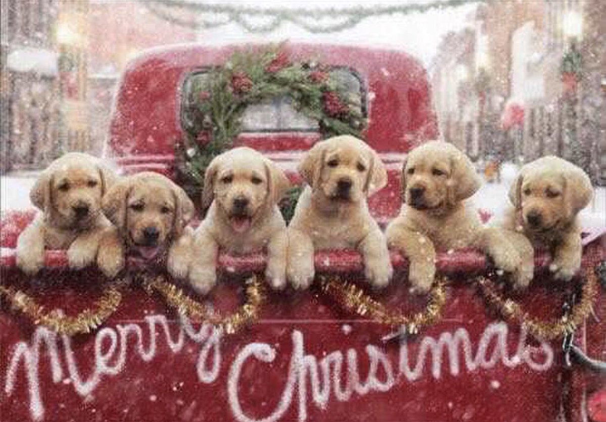 DotEdges1's tweet photo. Have you visited in DotEdge yet?  There’s still time to enjoy the best @LOrealUSA  #lipstick  
 Happy ChrismasDay 🎅🏼🎄❄️ 
Visit https://t.co/K1ijzqK2wE https://t.co/PEra6FNNBq