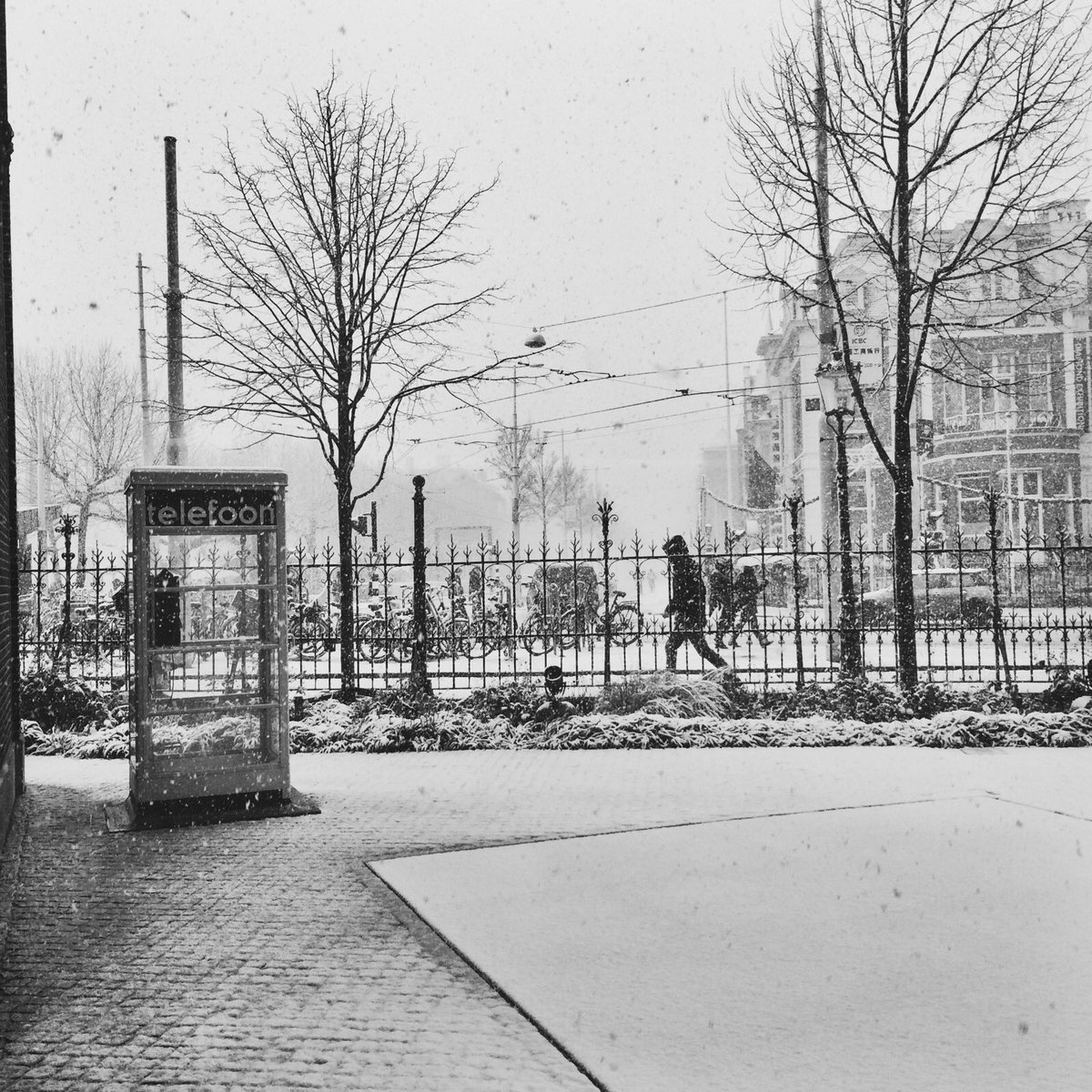 Merry Christmas To You All!