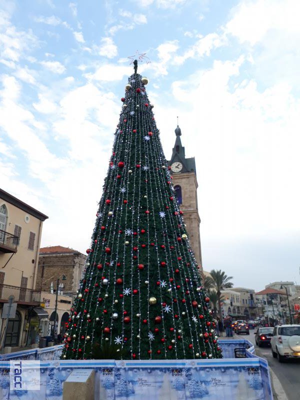 елка в новосибирске 2022 на площади ленина. дизайнерские елки. фото елки в израиле 2023 год. фото елки в израиле 2023 год. центральная елка в москве.