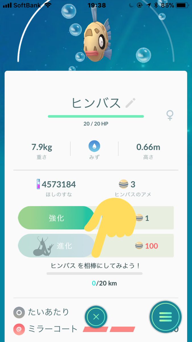 ট ইট র まぁくん ポケモンgo ヒンバス だけ ヒンバスを相棒にしてみよう って表示されてて謎でしたが やっと謎が解けた 進化条件 相棒にしてkm歩く 進化条件 ヒンバスのアメを100個集める ってな感じで特殊進化 なので表示されてるんで