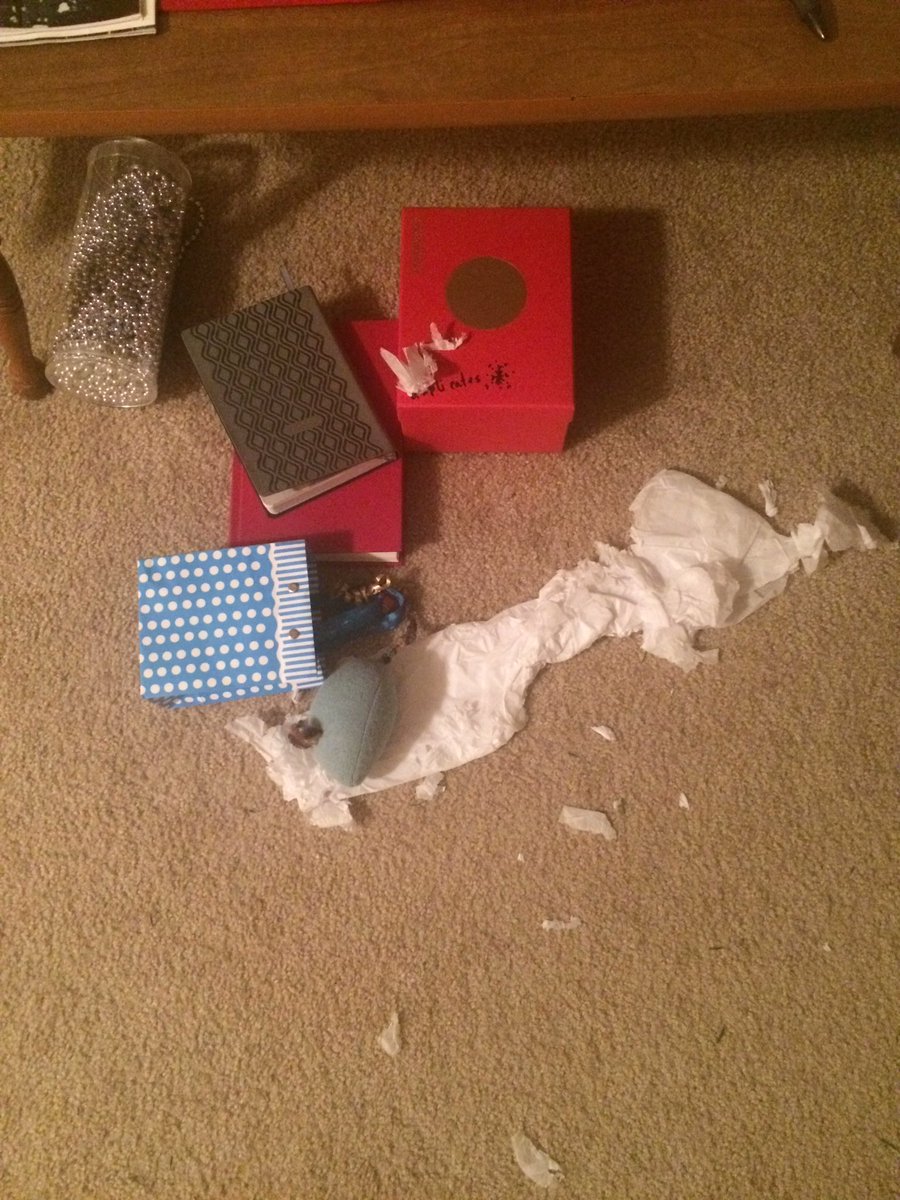 Alyssa Rae tweet media