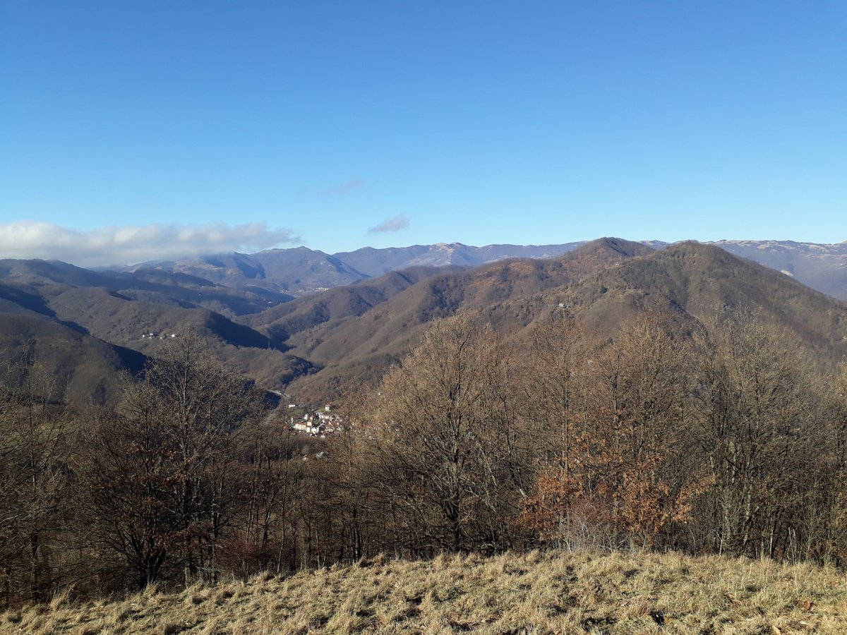 ChanneLuca's tweet photo. Viglia di natale in #altavaltrebbia @parcoantola @ValliAntola @TurismoLiguria #lamialiguria https://t.co/Aam8JQskRq