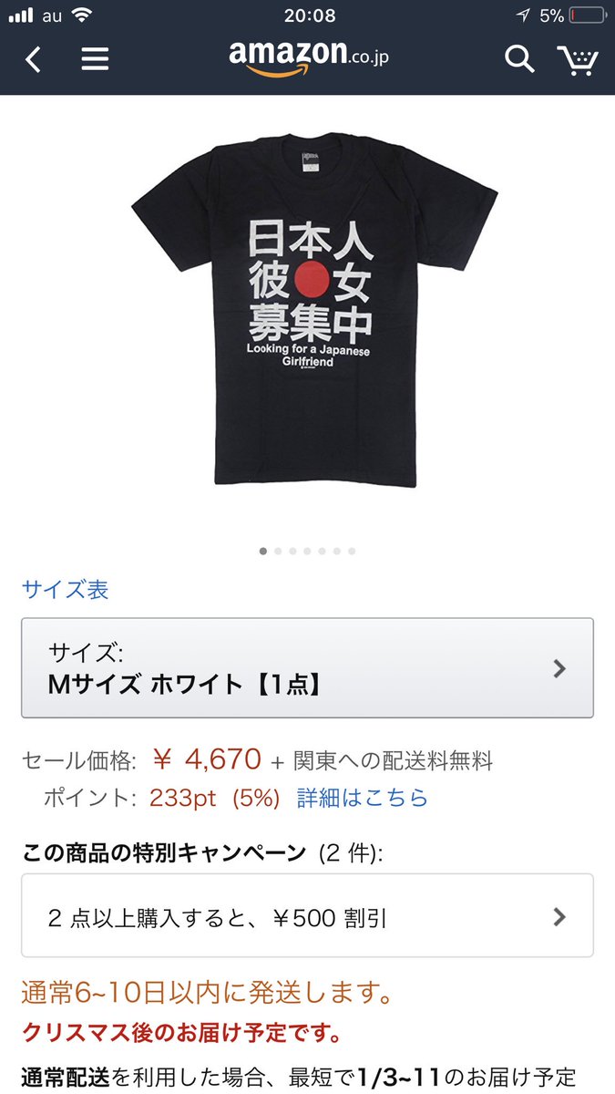 クリスマス前にお届けして欲しかった…