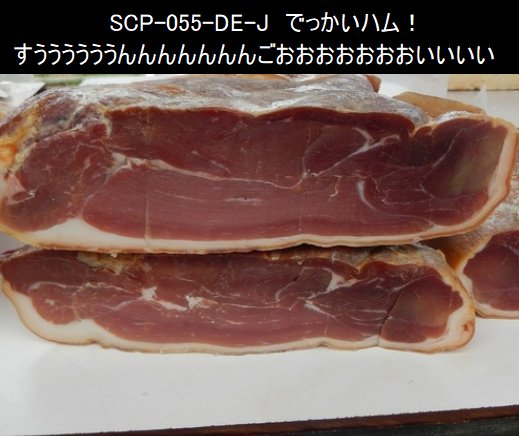 doku_hen_SCPbot's tweet photo. ハムのSCPイイイィィ！すごおおおい！でかあああい！！説明不要おおおぉぉ！！！

あー…
ちょっと待って……
…
…
…

続けるぜ！！

実際ただのでかいハムだああぁ！説明しようとするとこうなる！トースターの亜種だな！！

やっぱすげぇよハムは！！https://t.co/G1ihOD1ewL